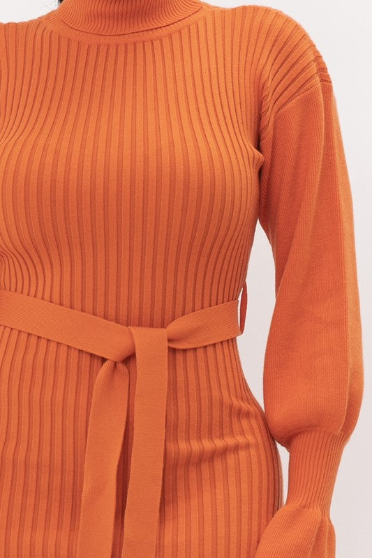 Orange Turtleneck Dress