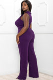 Purple or Black Jumpsuit - Plus Size