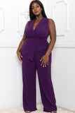 Purple or Black Jumpsuit - Plus Size