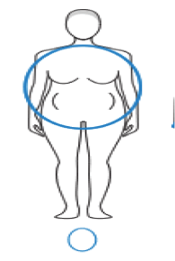The Circle Body Type